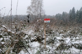 Участок 15 соток